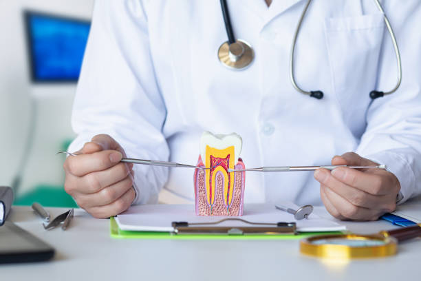 Best Emergency Treatment for Dental Infections or Abscesses in Garrison, ND